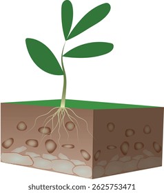 Soil layers infographic with rock and grass patterns.