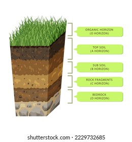 Suelo en capas en sección. Estructura de la superficie terrestre. Perfil subterráneo en forma volumétrica.