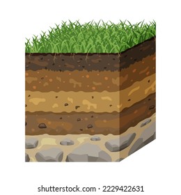 Soil in layers in section. Structure of earth's surface. Underground profile in volumetric form.