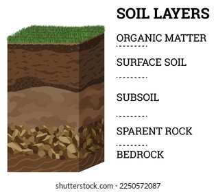 capas de suelo. Los horizontes superficiales de la capa superior de la estructura de la tierra con mezcla de materia orgánica, minerales y piedras. Capa de tierra y arcilla subterránea bajo hierba verde