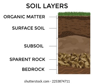 Soil layers. Surface horizons upper layer of earth structure with mixture of organic matter, minerals and stones. Dirt and underground clay layer under green grass