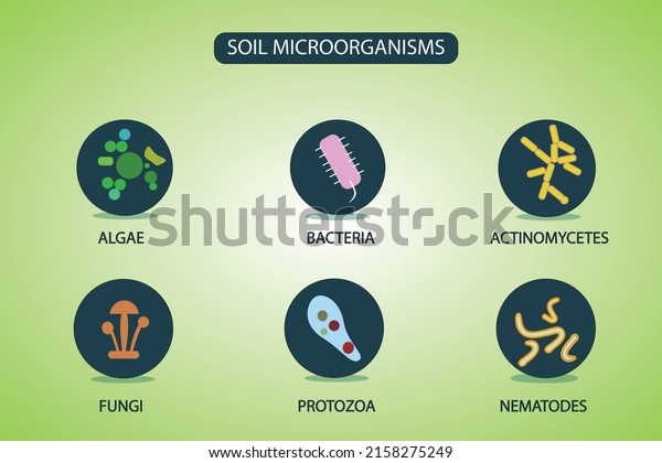 Soil\
Microorganisms that reproduce in the\
soil