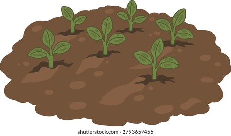 Soil With Multiple Small Plants