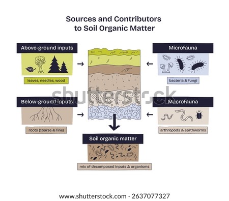 Soil organic matter sources are shown with above-ground inputs, below-ground roots, and soil organisms. Doodle style diagram