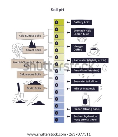 Soil pH is shown with a scale from acidic to alkaline, highlighting soil types, liquids, and icons for soil, water, and pH levels. Doodle style diagram