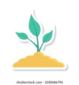  soil plant growth 
