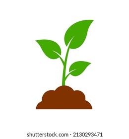 soil plant icon vector isolated on white background. - Shutterstock ID 2130293471