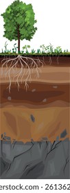 Soil profile. Scheme of a cross section of a soil, revealing horizons