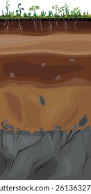 Soil profile. Scheme of a cross section of a soil, revealing horizons