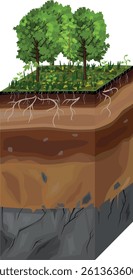 Soil profile. Scheme of a cross section of a soil, revealing horizons