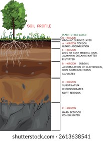 Soil profile. Scheme of a cross section of a soil, revealing horizons with titles