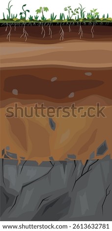 Soil profile. Scheme of a cross section of a soil, revealing horizons