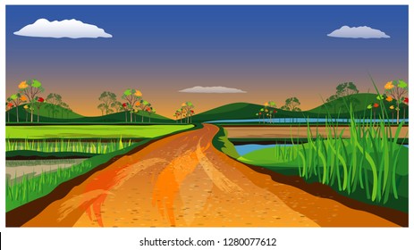 soil road with paddy field vector design
