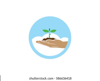 Soil and seedlings on hand