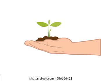 Soil and seedlings on hand