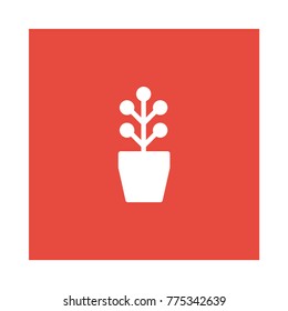  soil Square flat