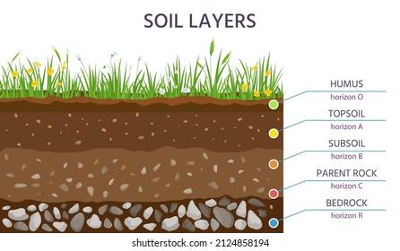 Capas de estructura del suelo, diagrama de educación de sección transversal subterránea. Grasa, humus, suelo, subsuelo, roca y lecho rocoso. Banner vector de geología. Régimen científico del aprendizaje subterráneo