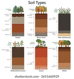tipos de solo com camadas rotuladas, vegetação e características, incluindo Podzol, Mollisol, Oxisol e mais diagrama desenhado à mão vetor esquemático. Ilustração educacional científica