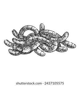 soil worm hand drawn. simple vector, earth pink, compost garden soil worm vector sketch. isolated black illustration