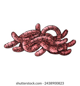 lombriz de tierra dibujada a mano. vector simple, tierra rosa, compost jardín lombriz de tierra vector sketch. ilustración de color aislado