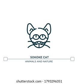 sokoke cat vector line icon. Simple element illustration. sokoke cat outline icon from cat breeds concept. Can be used for web and mobile
