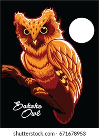 Sokoke Owl in the dark