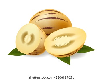 Solanum muricatum fruit. Pepino whole and slices fruits with green leaves realistic vector illustration, exotic ripe cut sweet cucumber isolated on white background
