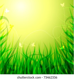 Solar grass with flowers and butterflies. vector.