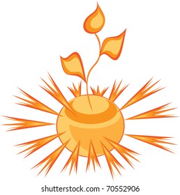 Solar sprout on isolated background