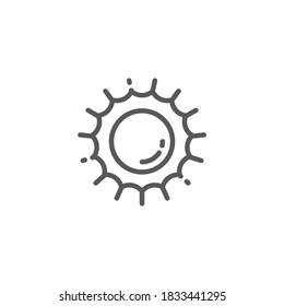 Solar star vector icon symbol isolated on white background