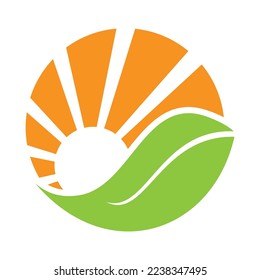 Solar sun leaf logo template