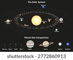 Solar system infographic with planet orbits, asteroid belt and size comparison. Educational astronomy chart showing Mercury, Venus, Earth, Mars, Jupiter, Saturn, Uranus and Neptune