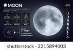 The Solar System-Moon and its characteristics vector illustration