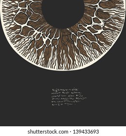 Solaris. Macro human eye drawing.
