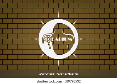 solarium logo, icon vector illustration