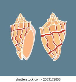 solated element sea shell ornament white outline on gray background double sided hand sketch symbol silhouette color vector