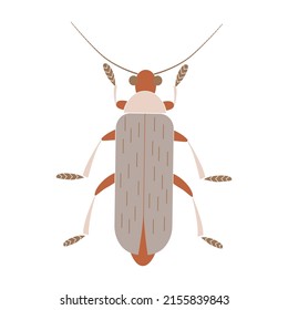 insecto de escarabajo de soldados. Diseño decorativo en la tierra de los colores naturales. Ilustración vectorial de insectos geométricos en estilo plano