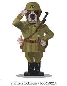 Soldier dog, the St. Bernard
