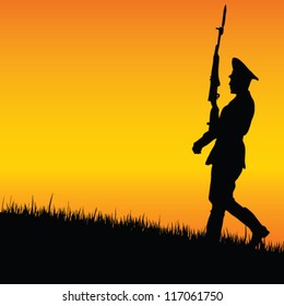 soldier on guard in nature vector illustration
