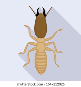 Icono vectorial de termita de soldado.Icono vector plano aislado en termita soldado de fondo blanco.