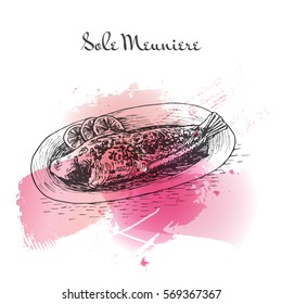 Sole Meuniere Watercolor Effect Illustration. Vector Illustration Of French Cuisine. 