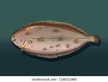 Sole Sea Fish