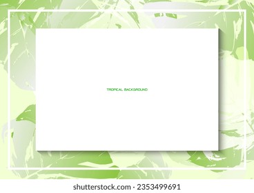Solf lighting and Green leafs With paper background,Modern background,product show