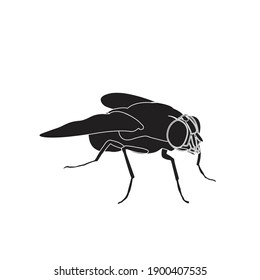 solid animal flies icon vector illustration