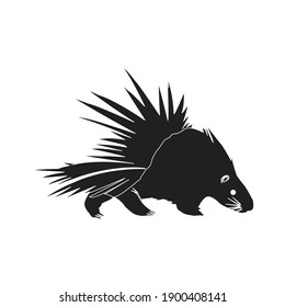 solid animal porcupine icon vector illustration