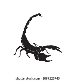 solid animal scorpion icon vector illustration