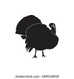 Download Turkey Silhouette Hd Stock Images Shutterstock