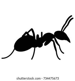 Solid ant vector