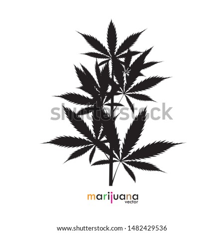 Solid black cannabis marijuana leaf vector image. Medicine Cannabis Weed, Smoking, Smoker Weed ,Leaf Hemp Bong, Clipart Vector Cricut Cut Cutting File