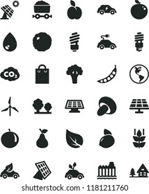 solid black flat icon set saving light bulb vector, drop, porcini, cabbage, apple, pear, mint, tangerine, yellow lemon, delicious, peas, broccoli, solar panel, big, leaf, windmill, planet Earth, bag